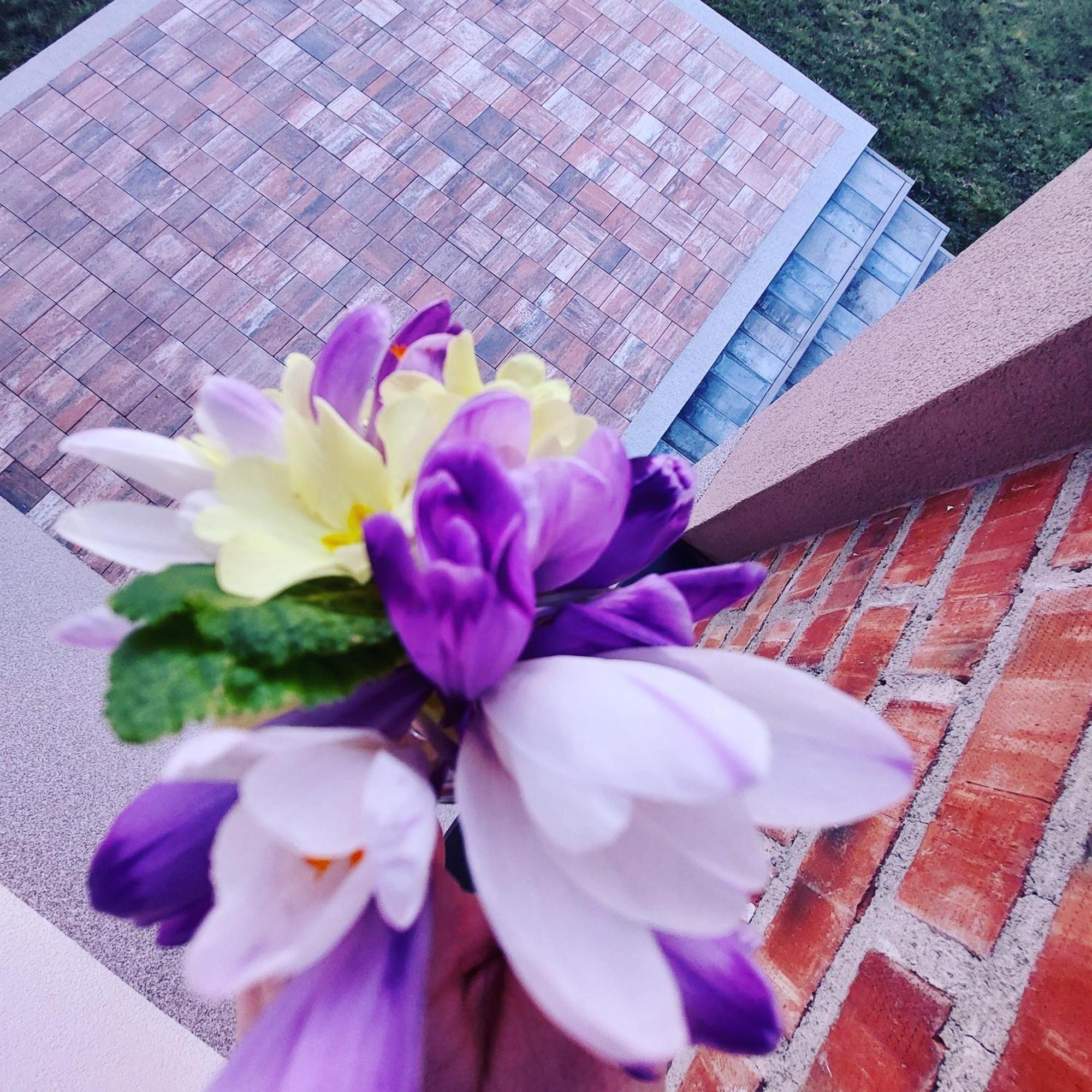 Vikendica Villa Ramona 巴尼西卢卡 外观 照片